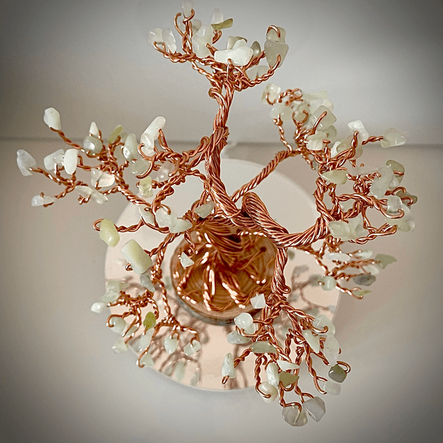 Arbre Bonsaï Jade 