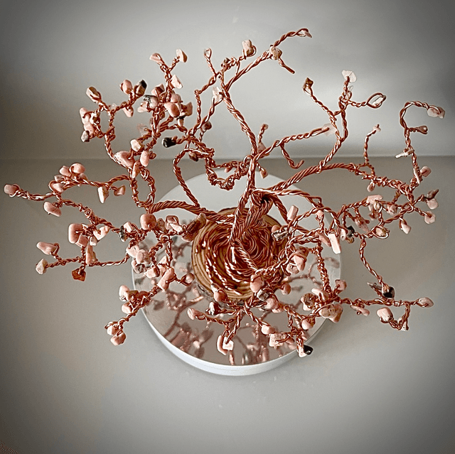 Arbre Cerisier Japonais Rhodochrosite