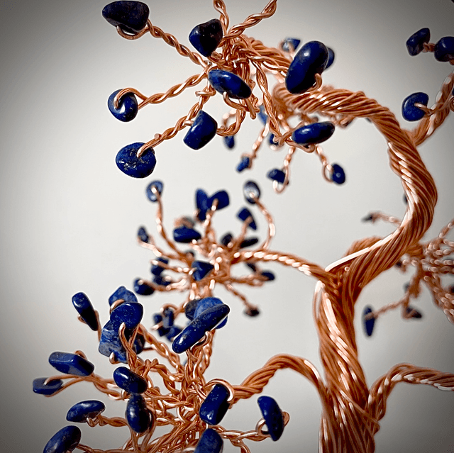 Arbre Bonsaï Lapis-lazuli 