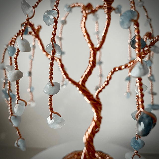 Arbre Saule Aigue Marine