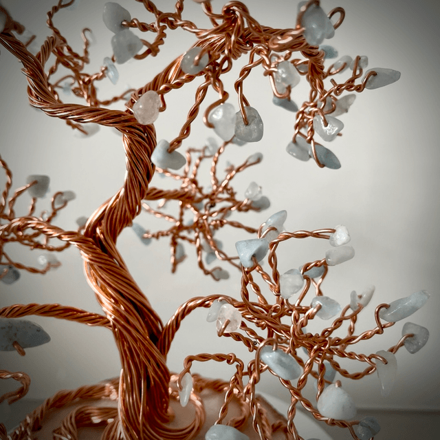 Arbre Bonsaï Aigue Marine