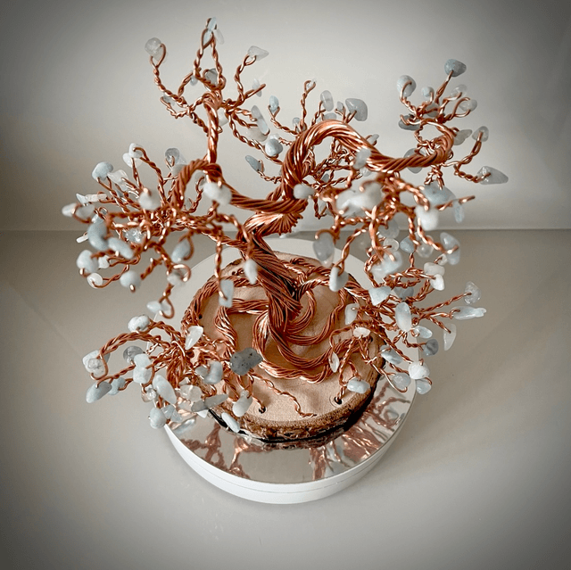 Arbre Bonsaï Aigue Marine