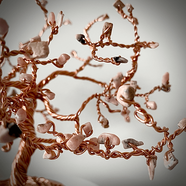 Arbre Cerisier Japonais Rhodochrosite