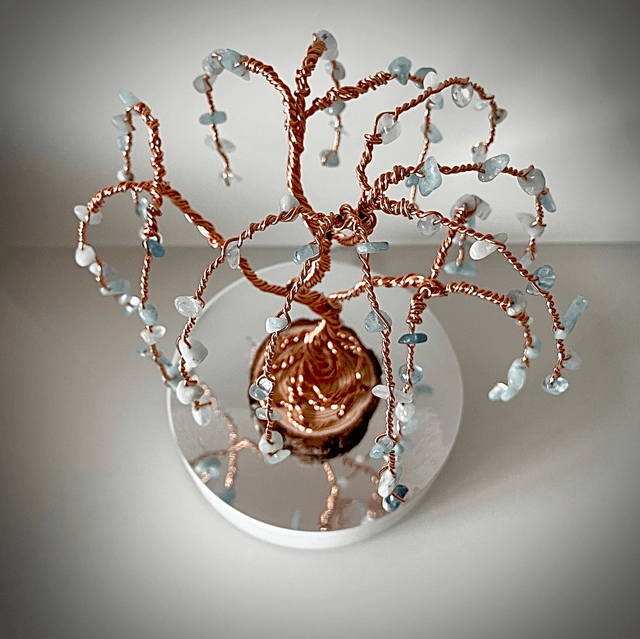 Arbre Saule Aigue Marine