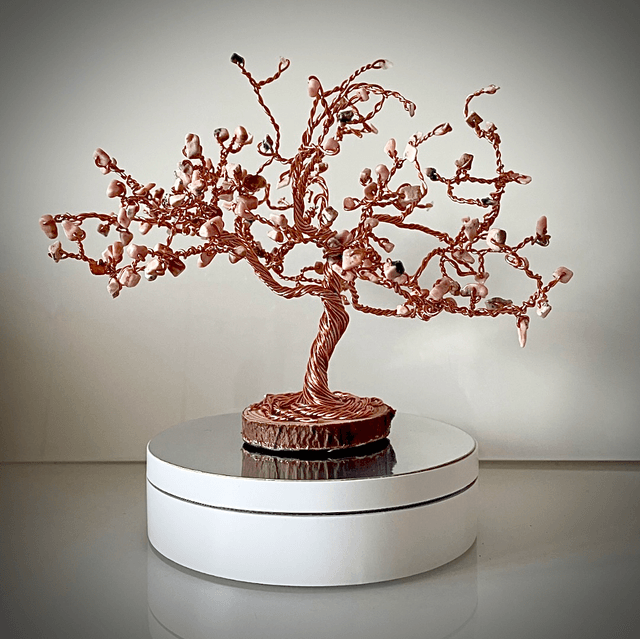 Arbre Cerisier Japonais Rhodochrosite