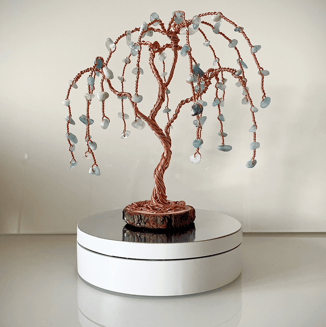 Arbre Saule Aigue Marine