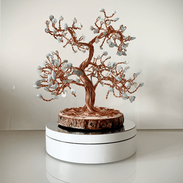 Arbre Bonsaï Aigue Marine