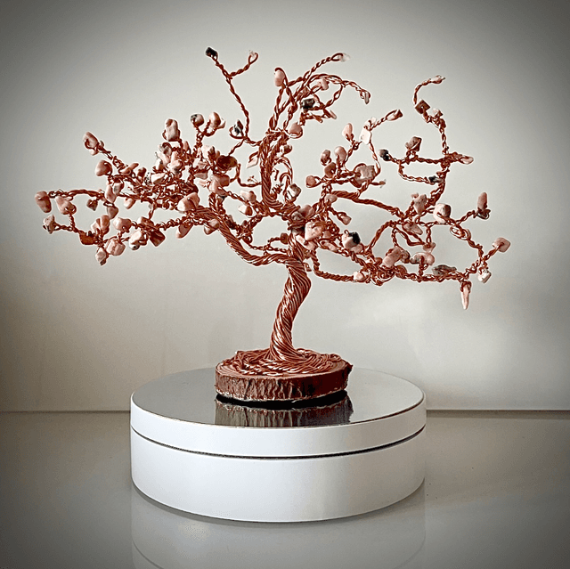 Arbre Cerisier Japonais Rhodochrosite